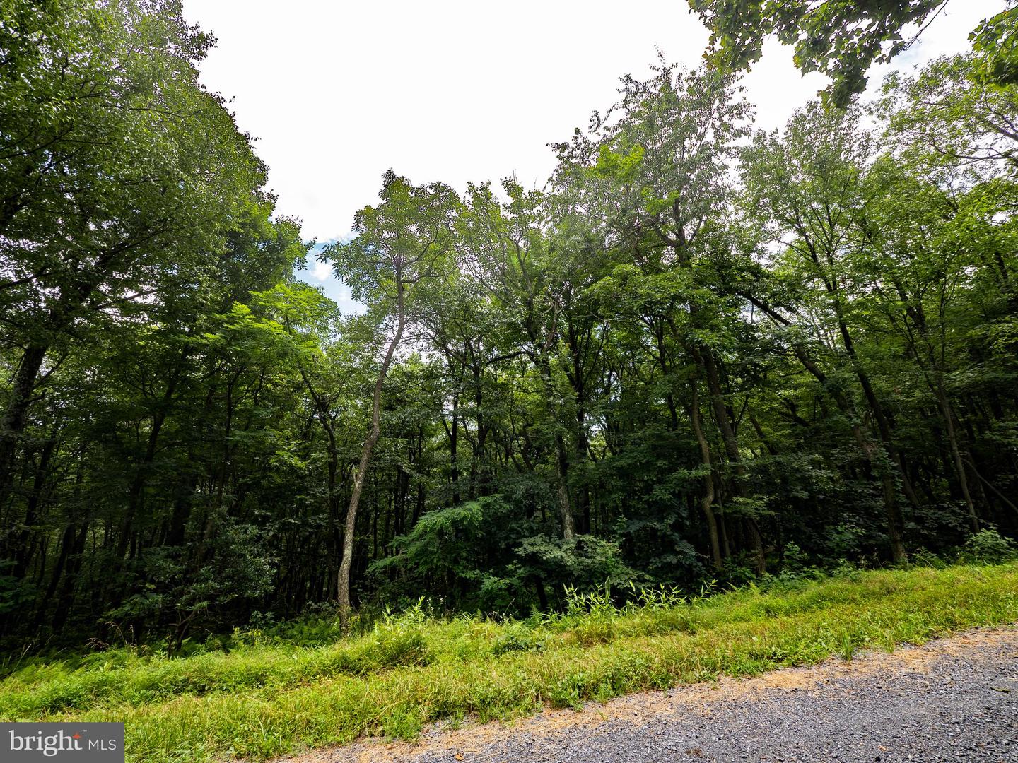 LOTS 182, 183, 184 ROCKWOOD TRL, WINCHESTER, Virginia 22602, ,Land,For sale,LOTS 182, 183, 184 ROCKWOOD TRL,VAFV2035474 MLS # VAFV2035474