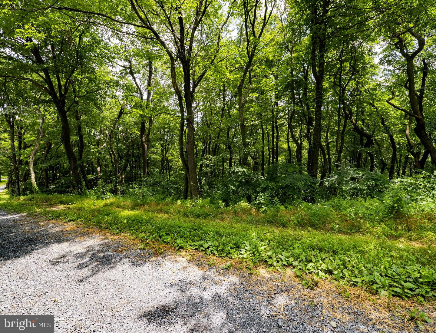 LOTS 182, 183, 184 ROCKWOOD TRL, WINCHESTER, Virginia 22602, ,Land,For sale,LOTS 182, 183, 184 ROCKWOOD TRL,VAFV2035474 MLS # VAFV2035474