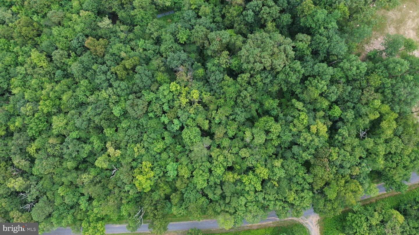 LOTS 182, 183, 184 ROCKWOOD TRL, WINCHESTER, Virginia 22602, ,Land,For sale,LOTS 182, 183, 184 ROCKWOOD TRL,VAFV2035474 MLS # VAFV2035474