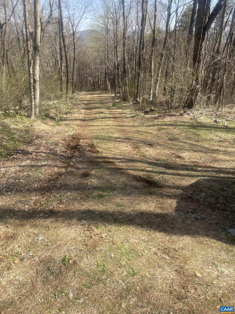 LOT 17 WOODS GAP RD, CROZET, Virginia 22932, ,Land,For sale,LOT 17 WOODS GAP RD,666800 MLS # 666800