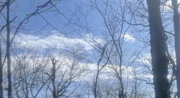 LOT 17 WOODS GAP RD, CROZET, Virginia 22932, ,Land,For sale,LOT 17 WOODS GAP RD,666800 MLS # 666800