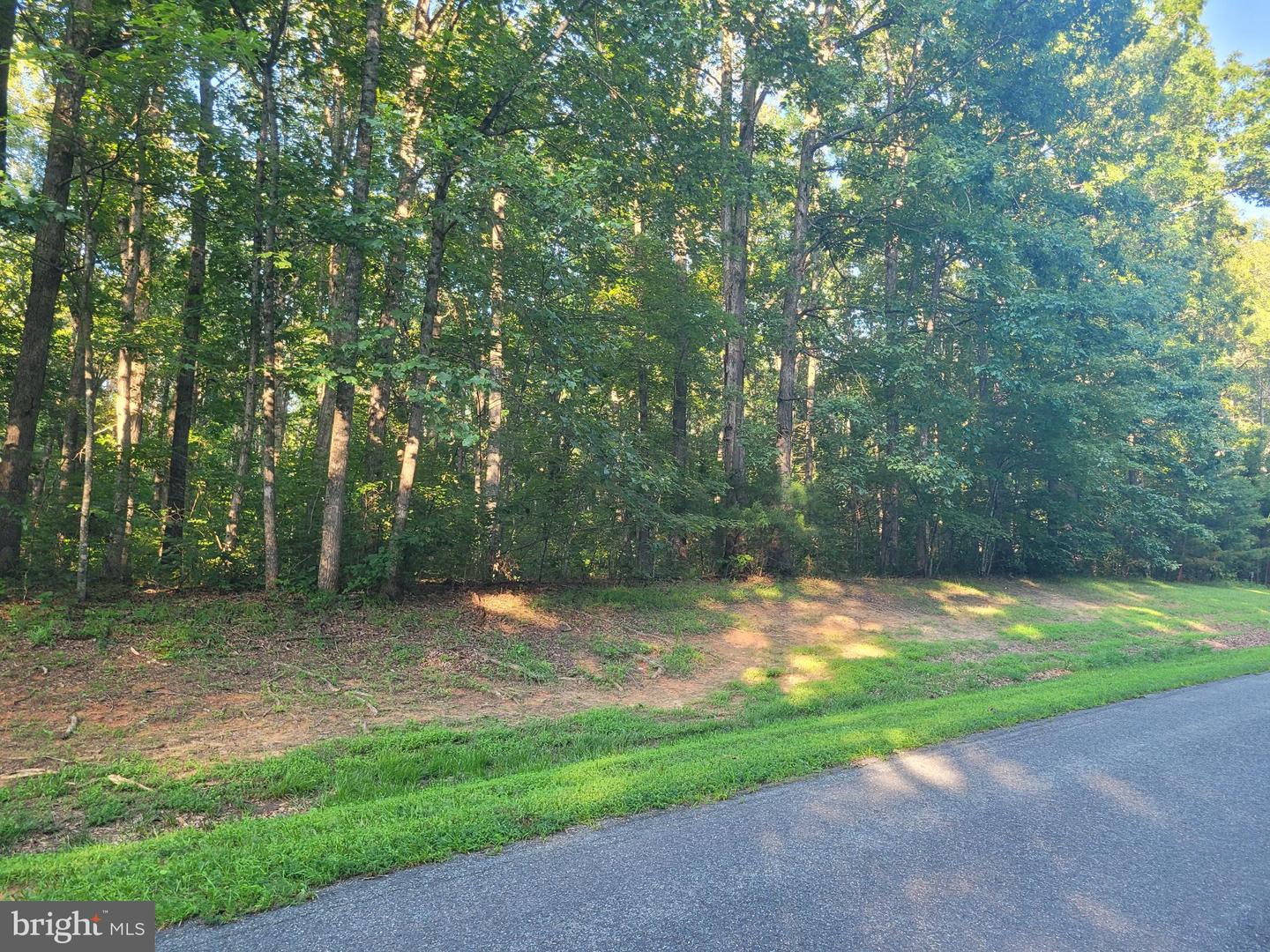 HARNESS, LOUISA, Virginia 23093, ,Land,For sale,HARNESS,VALA2008262 MLS # VALA2008262