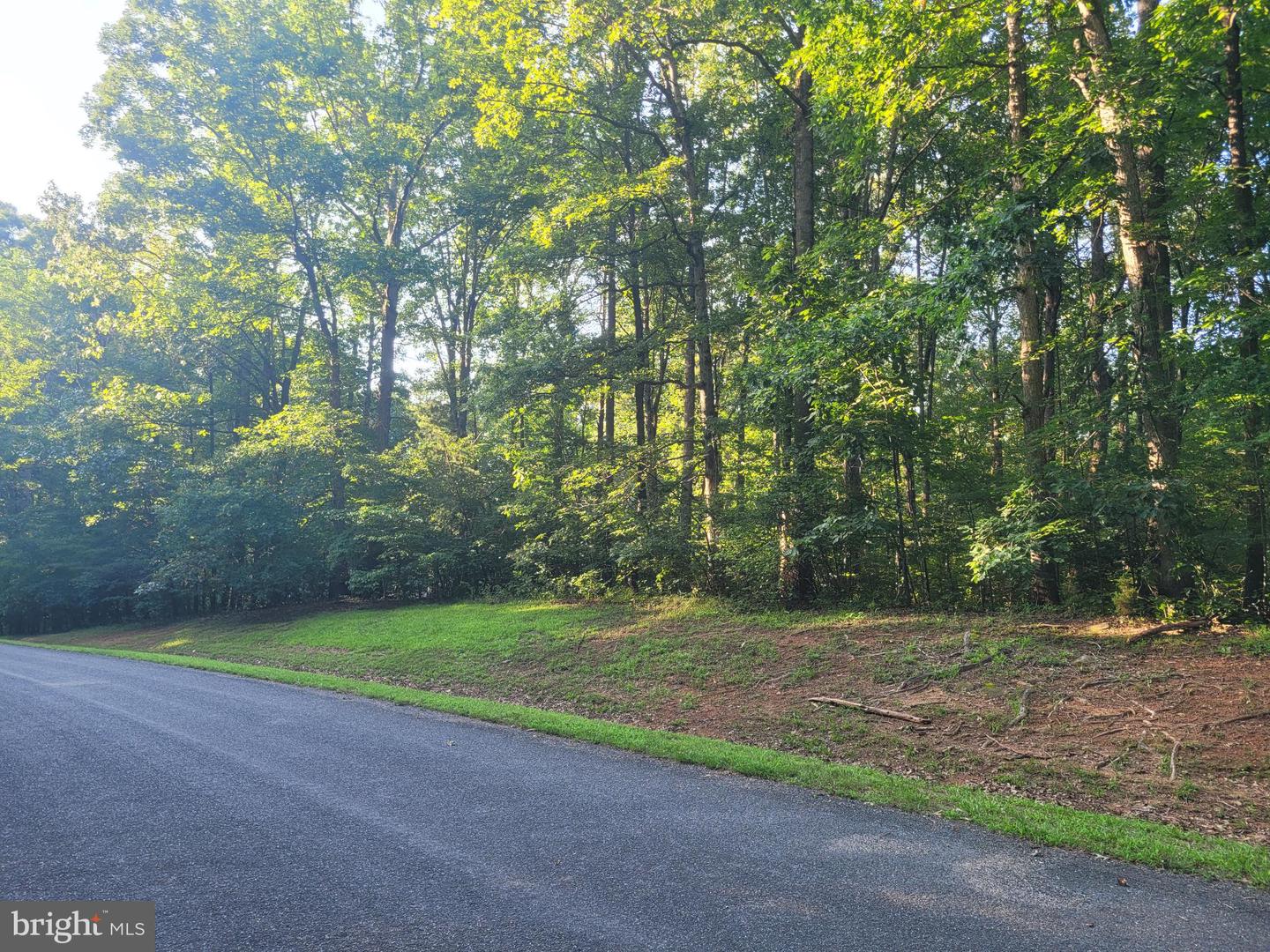 HARNESS, LOUISA, Virginia 23093, ,Land,For sale,HARNESS,VALA2008262 MLS # VALA2008262