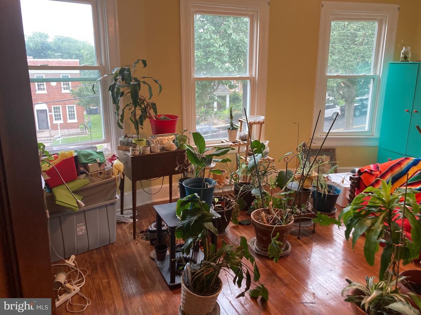 431 RITTENHOUSE ST NW, WASHINGTON, District Of Columbia 20011, 4 Bedrooms Bedrooms, ,2 BathroomsBathrooms,Residential,For sale,431 RITTENHOUSE ST NW,DCDC2194108 MLS # DCDC2194108