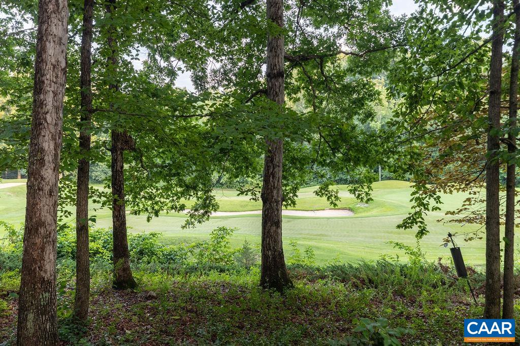 85 WATERS EDGE LN, NELLYSFORD, Virginia 22958, 5 Bedrooms Bedrooms, ,4 BathroomsBathrooms,Residential,85 WATERS EDGE LN,666662 MLS # 666662
