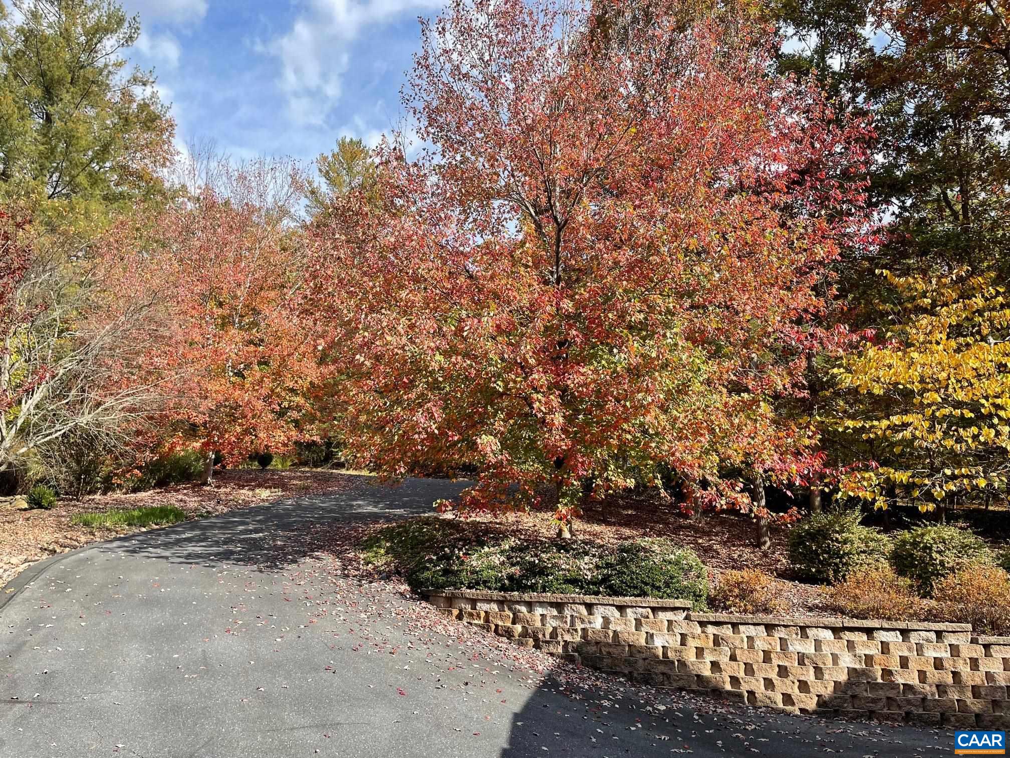 85 WATERS EDGE LN, NELLYSFORD, Virginia 22958, 5 Bedrooms Bedrooms, ,4 BathroomsBathrooms,Residential,85 WATERS EDGE LN,666662 MLS # 666662