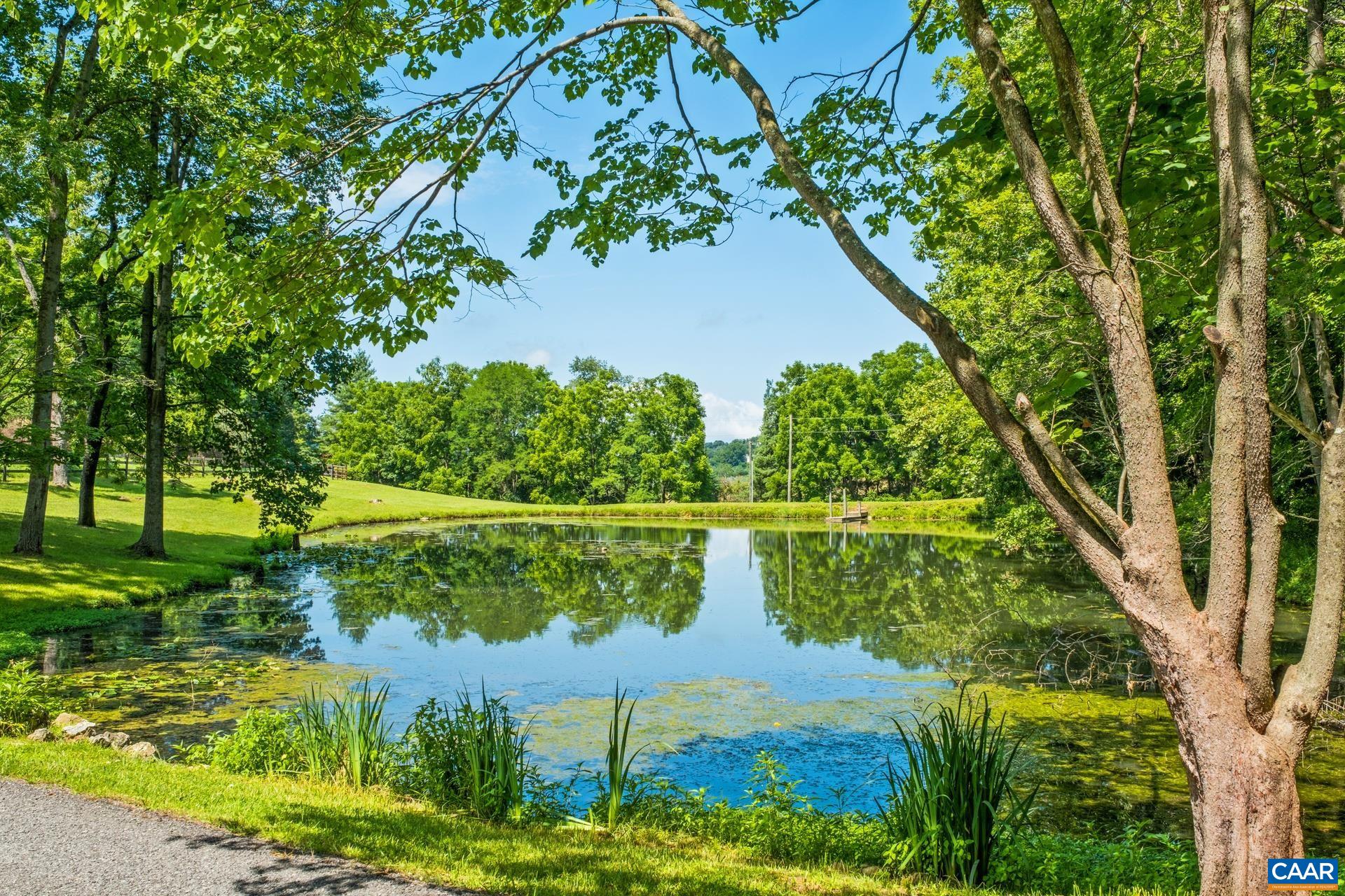 Pond is stocked with bass!