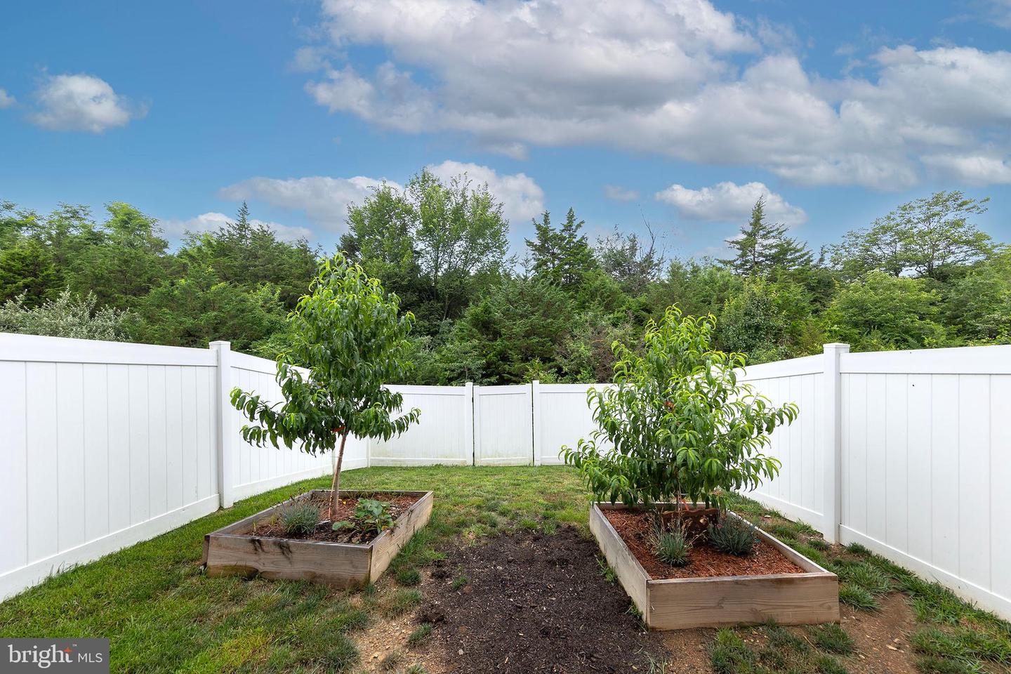 104 METCALF TERRACE, WINCHESTER, Virginia 22602, 3 Bedrooms Bedrooms, 13 Rooms Rooms,3 BathroomsBathrooms,Residential,For sale,104 METCALF TERRACE,VAFV2034604 MLS # VAFV2034604