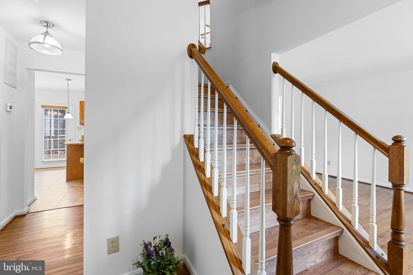 8 WESTCHESTER CT, STAFFORD, Virginia 22554, 5 Bedrooms Bedrooms, ,3 BathroomsBathrooms,Residential,For sale,8 WESTCHESTER CT,VAST2040076 MLS # VAST2040076