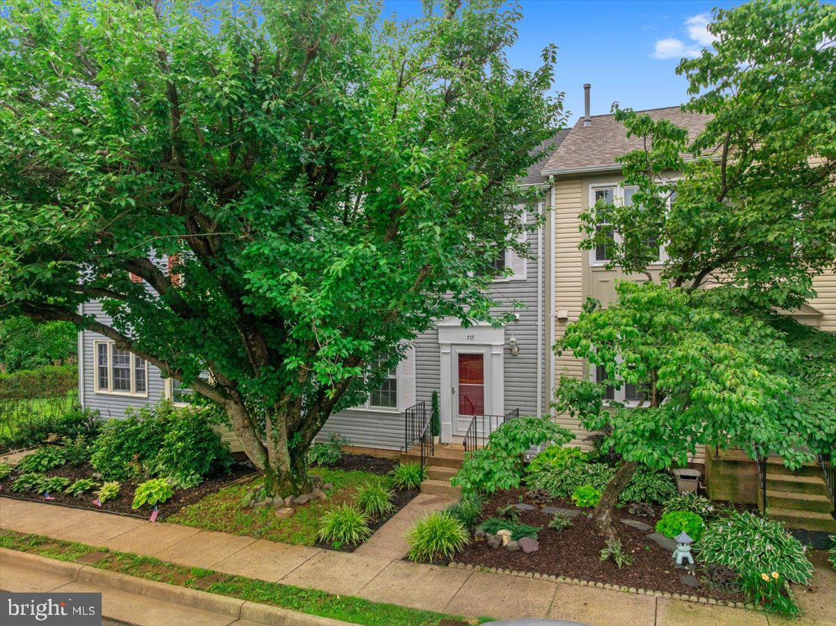 717 ARBOR CT, WARRENTON, Virginia 20186, 3 Bedrooms Bedrooms, ,3 BathroomsBathrooms,Residential,For sale,717 ARBOR CT,VAFQ2017222 MLS # VAFQ2017222