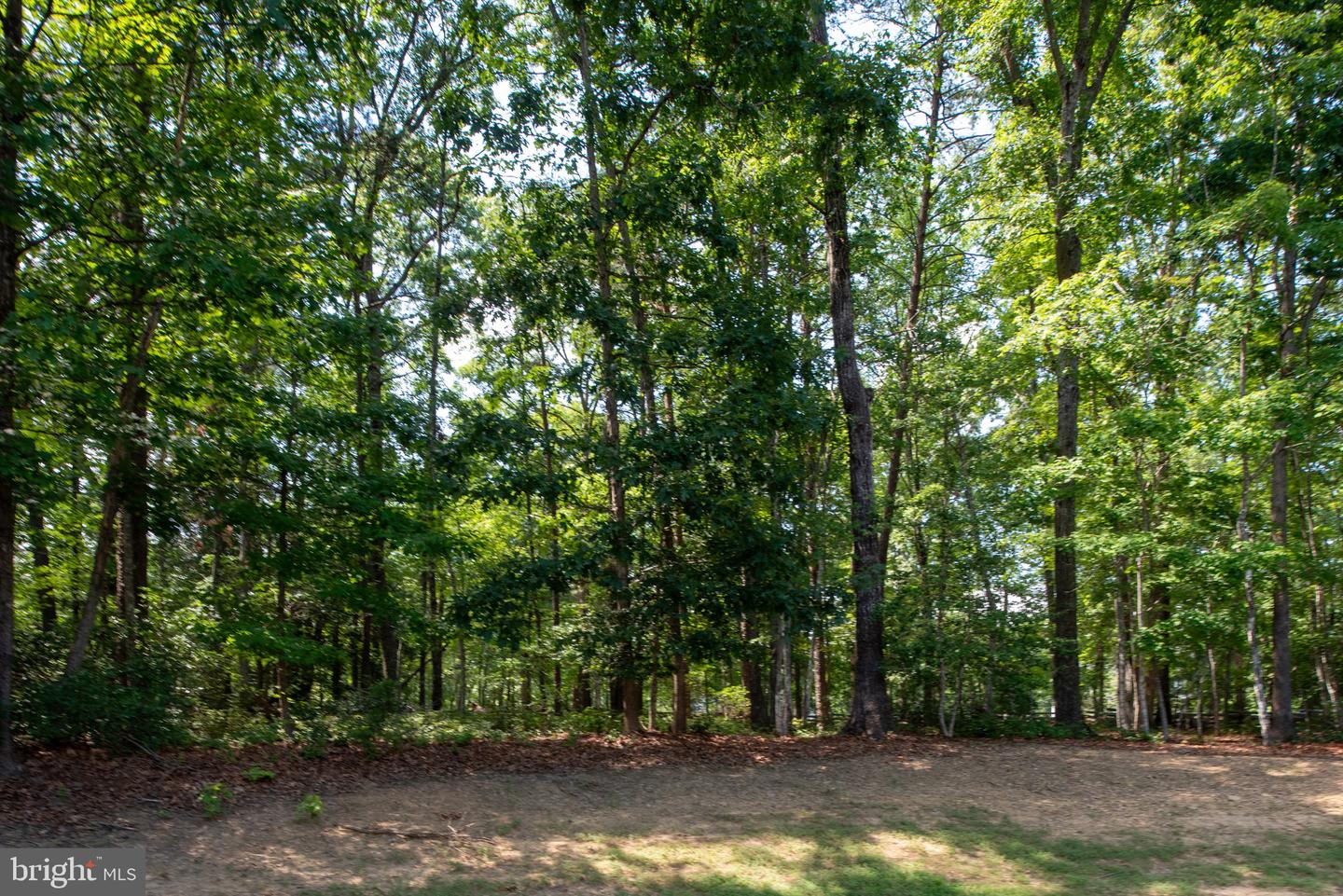 8700 FORMATION DR, FREDERICKSBURG, Virginia 22407, 4 Bedrooms Bedrooms, ,3 BathroomsBathrooms,Residential,For sale,8700 FORMATION DR,VASP2034350 MLS # VASP2034350
