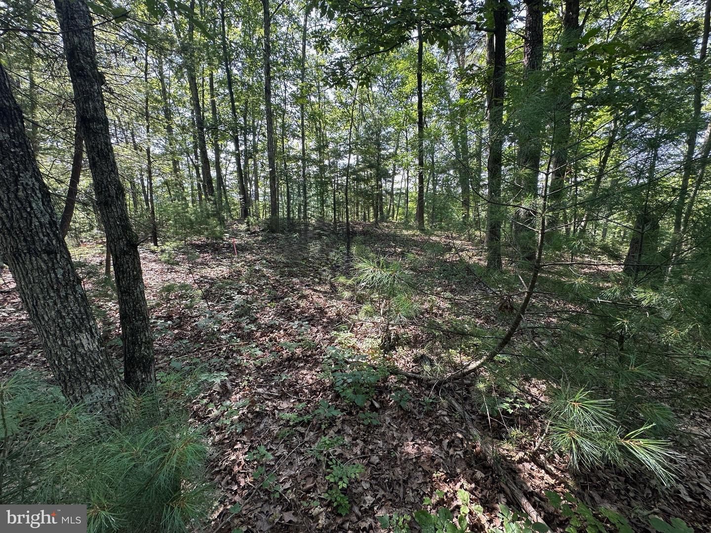 STOKES AIRPORT ROAD, FRONT ROYAL, Virginia 22630, ,Land,For sale,STOKES AIRPORT ROAD,VAWR2011650 MLS # VAWR2011650
