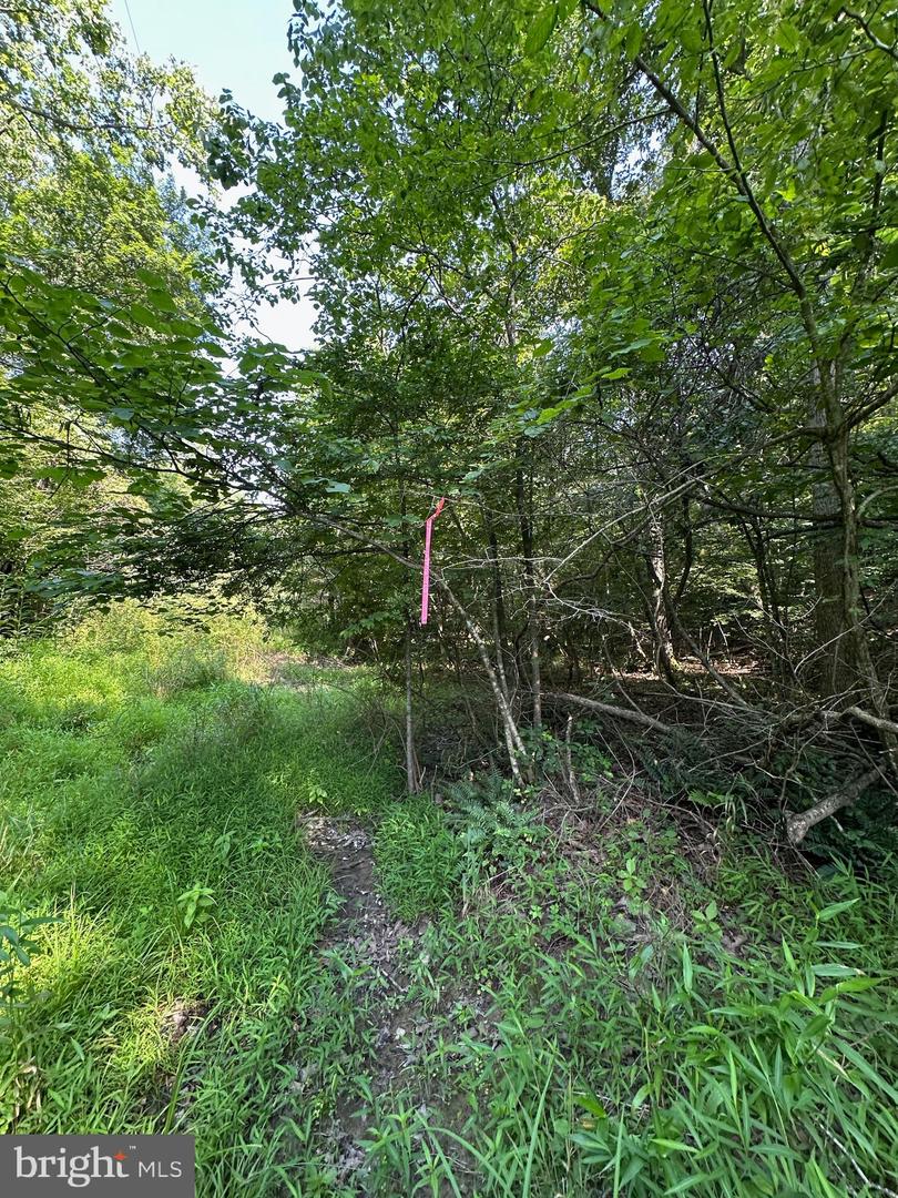 STOKES AIRPORT ROAD, FRONT ROYAL, Virginia 22630, ,Land,For sale,STOKES AIRPORT ROAD,VAWR2011650 MLS # VAWR2011650