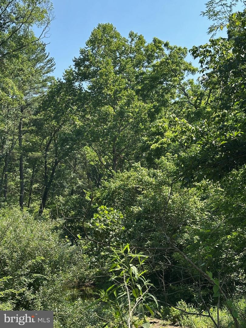 STOKES AIRPORT ROAD, FRONT ROYAL, Virginia 22630, ,Land,For sale,STOKES AIRPORT ROAD,VAWR2011650 MLS # VAWR2011650