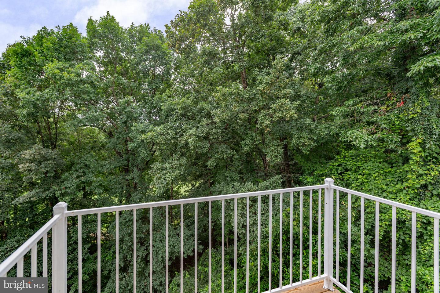 3714 FAIRWAYS CT, FREDERICKSBURG, Virginia 22408, 7 Bedrooms Bedrooms, ,4 BathroomsBathrooms,Residential,For sale,3714 FAIRWAYS CT,VASP2034446 MLS # VASP2034446