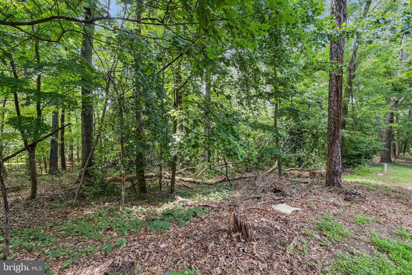 2408 WANDA WAY, RESTON, Virginia 20191, 3 Bedrooms Bedrooms, ,2 BathroomsBathrooms,Residential,For sale,2408 WANDA WAY,VAFX2254522 MLS # VAFX2254522