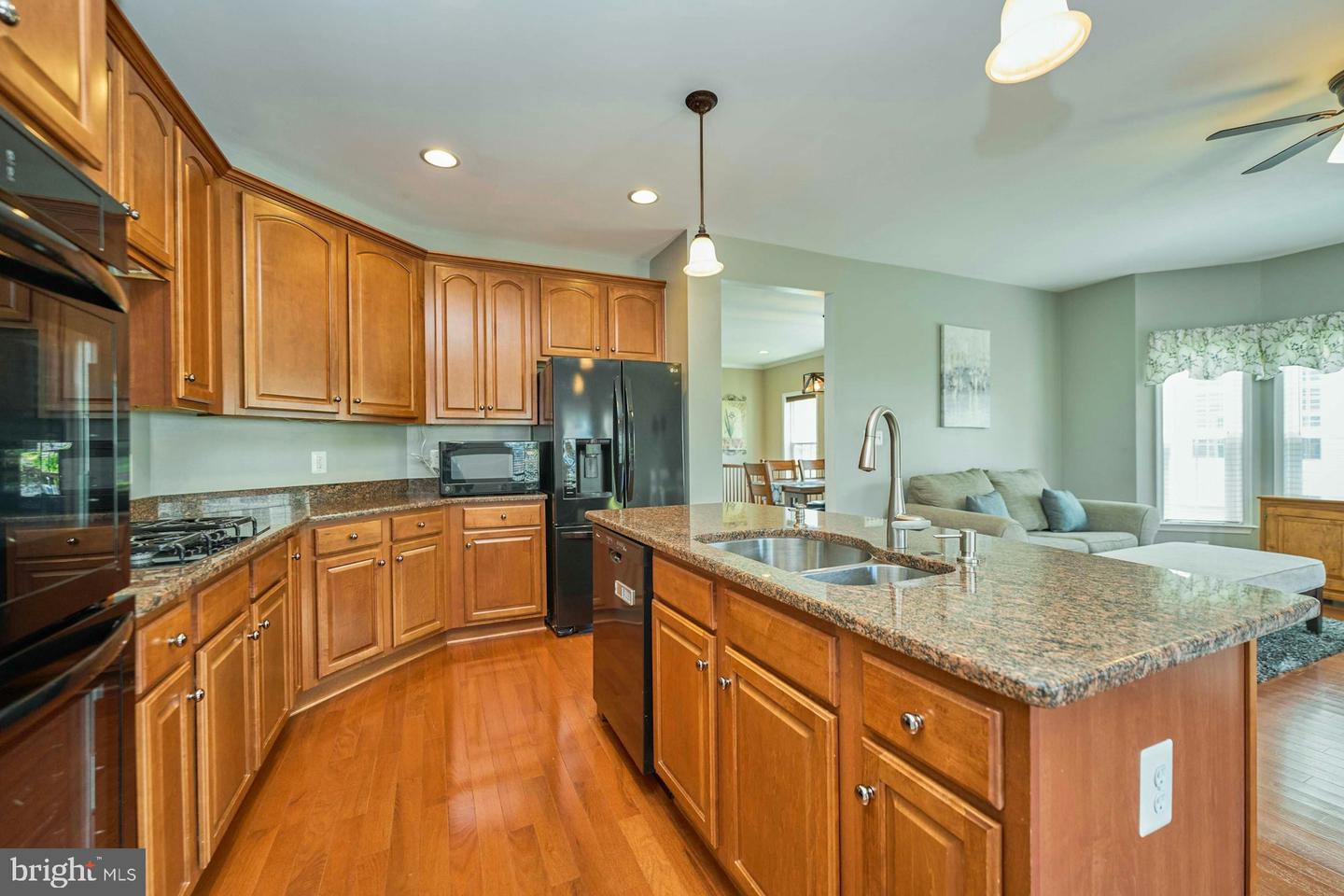 25091 SILURIAN TER, ALDIE, Virginia 20105, 3 Bedrooms Bedrooms, ,3 BathroomsBathrooms,Residential,For sale,25091 SILURIAN TER,VALO2101624 MLS # VALO2101624