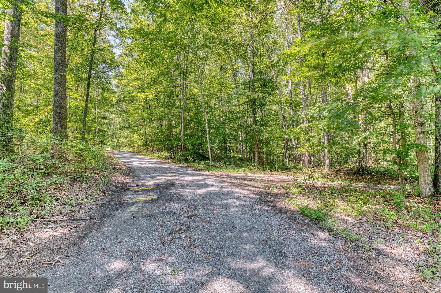 5575 JEFFERSONTON RD, JEFFERSONTON, Virginia 22724, 3 Bedrooms Bedrooms, ,3 BathroomsBathrooms,Residential,For sale,5575 JEFFERSONTON RD,VACU2011002 MLS # VACU2011002