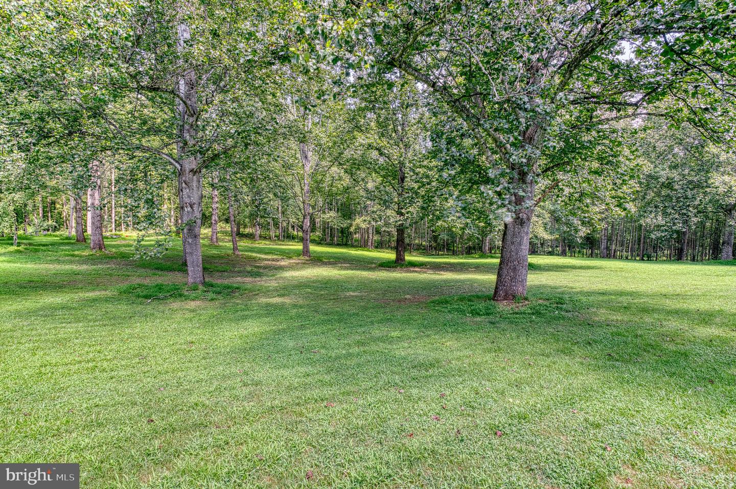 5575 JEFFERSONTON RD, JEFFERSONTON, Virginia 22724, 3 Bedrooms Bedrooms, ,3 BathroomsBathrooms,Residential,For sale,5575 JEFFERSONTON RD,VACU2011002 MLS # VACU2011002