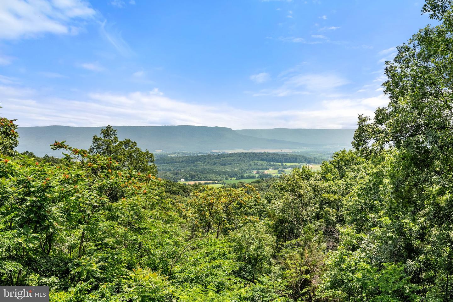 419 MOCKINGBIRD, MOUNT JACKSON, Virginia 22842, 2 Bedrooms Bedrooms, ,2 BathroomsBathrooms,Residential,For sale,419 MOCKINGBIRD,VASH2011976 MLS # VASH2011976