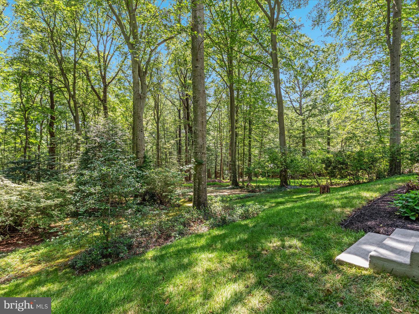 13209 JOHNNY MOORE LN, CLIFTON, Virginia 20124, 5 Bedrooms Bedrooms, ,4 BathroomsBathrooms,Residential,For sale,13209 JOHNNY MOORE LN,VAFX2255096 MLS # VAFX2255096