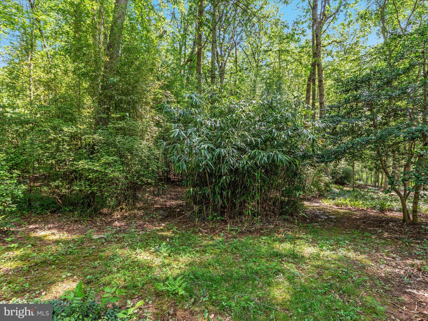 13209 JOHNNY MOORE LN, CLIFTON, Virginia 20124, 5 Bedrooms Bedrooms, ,4 BathroomsBathrooms,Residential,For sale,13209 JOHNNY MOORE LN,VAFX2255096 MLS # VAFX2255096