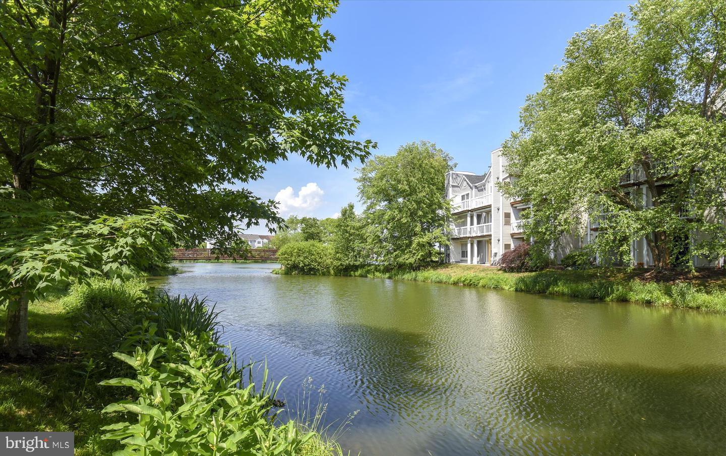 44152 NATALIE TER #201, ASHBURN, Virginia 20147, 2 Bedrooms Bedrooms, ,2 BathroomsBathrooms,Residential,For sale,44152 NATALIE TER #201,VALO2101978 MLS # VALO2101978