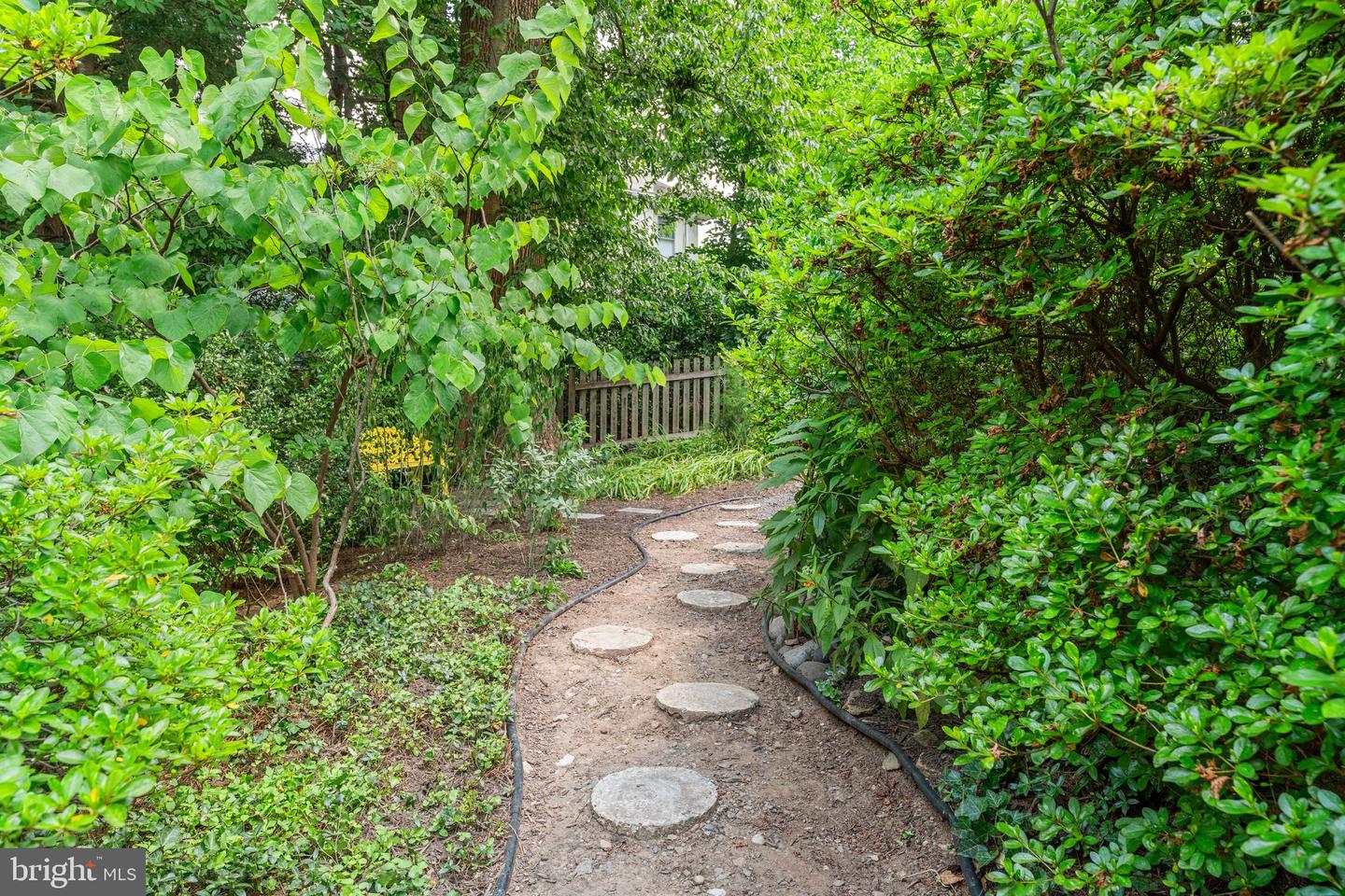 5500 BROAD BRANCH RD NW, WASHINGTON, District Of Columbia 20015, 4 Bedrooms Bedrooms, ,3 BathroomsBathrooms,Residential,For sale,5500 BROAD BRANCH RD NW,DCDC2210264 MLS # DCDC2210264
