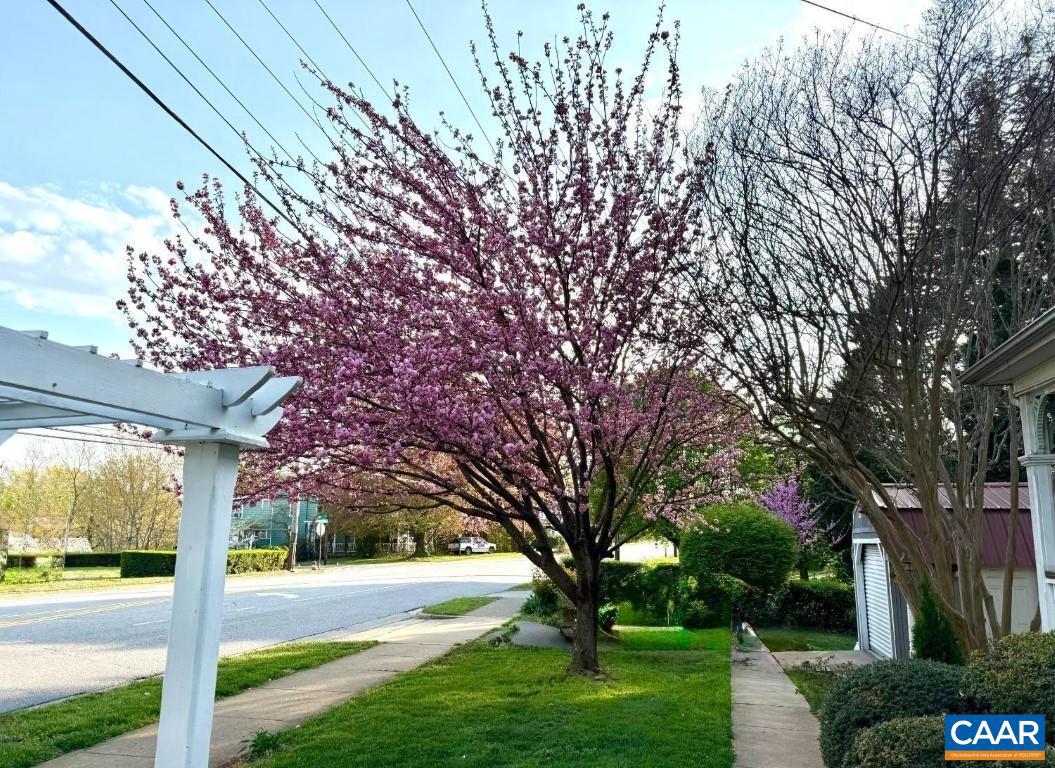 805 LONGWOOD AVE, BEDFORD, Virginia 24523, 4 Bedrooms Bedrooms, ,3 BathroomsBathrooms,Residential,For sale,805 LONGWOOD AVE,666764 MLS # 666764