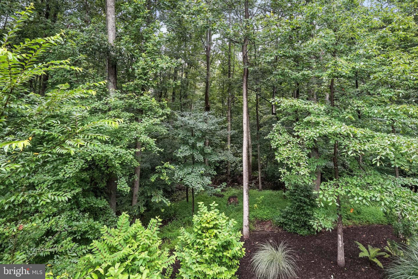 11923 LATIGO LN, OAKTON, Virginia 22124, 4 Bedrooms Bedrooms, ,3 BathroomsBathrooms,Residential,For sale,11923 LATIGO LN,VAFX2252972 MLS # VAFX2252972