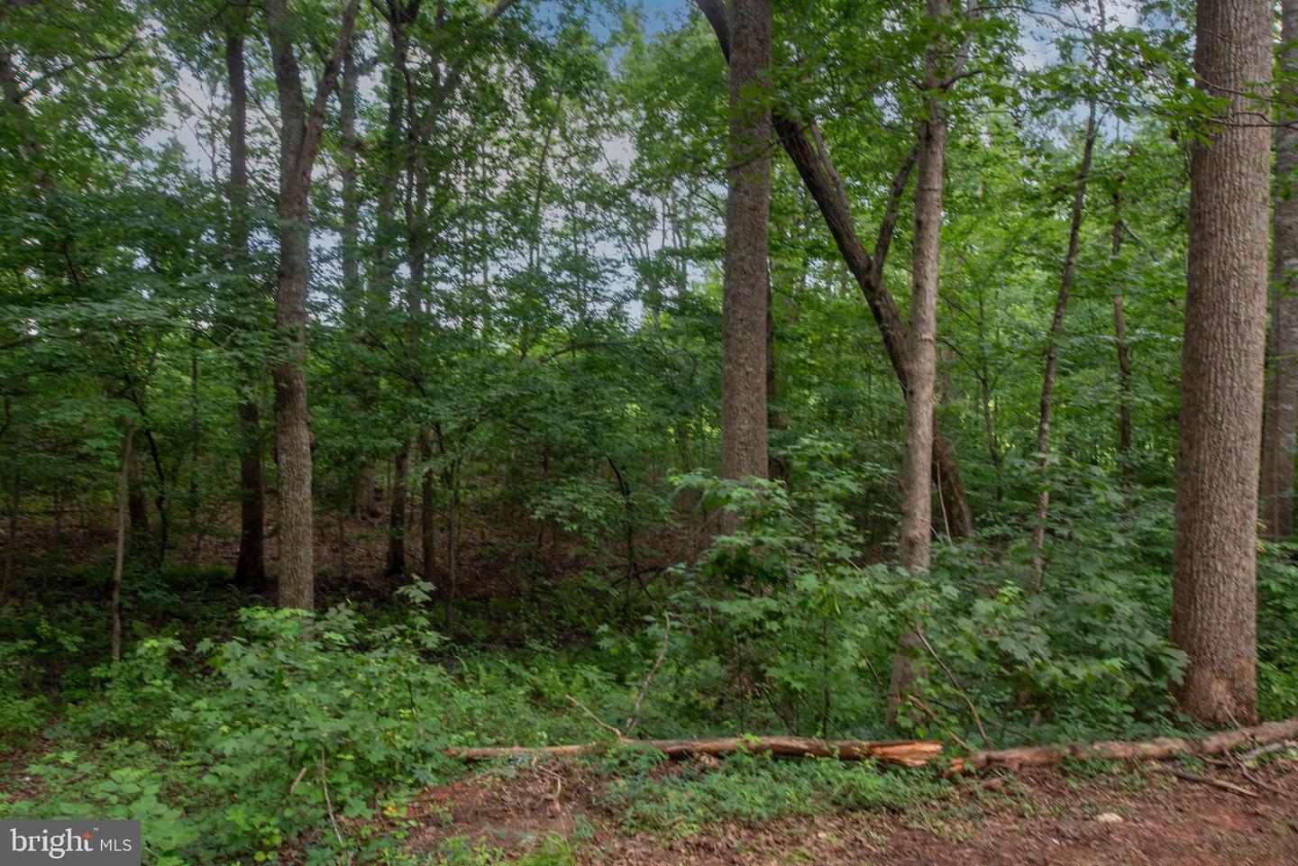 11504 MACFADEN DR, SPOTSYLVANIA, Virginia 22551, 3 Bedrooms Bedrooms, ,2 BathroomsBathrooms,Residential,For sale,11504 MACFADEN DR,VASP2034546 MLS # VASP2034546