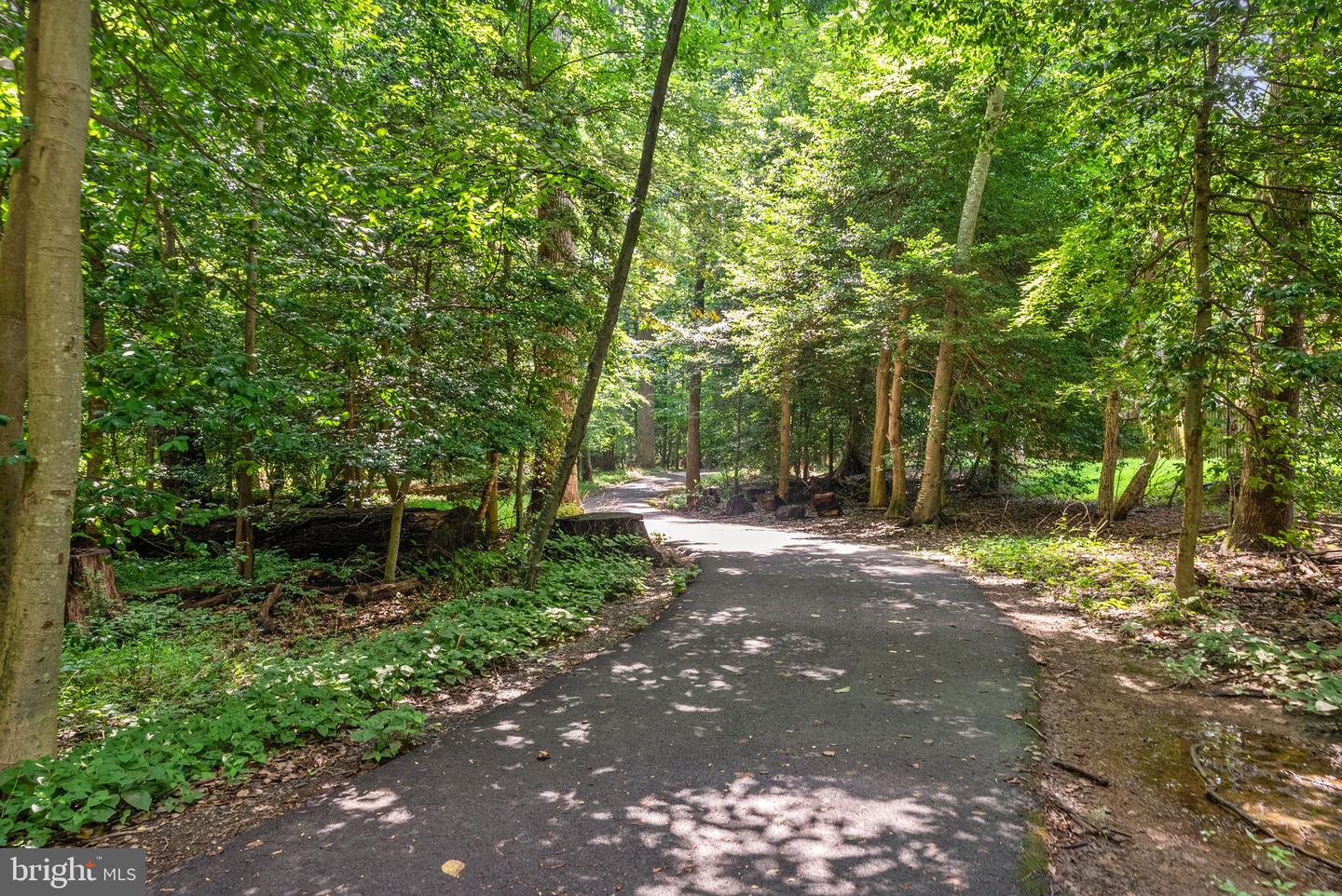 11722 MOSSY CREEK LN, RESTON, Virginia 20191, 3 Bedrooms Bedrooms, ,2 BathroomsBathrooms,Residential,For sale,11722 MOSSY CREEK LN,VAFX2253216 MLS # VAFX2253216