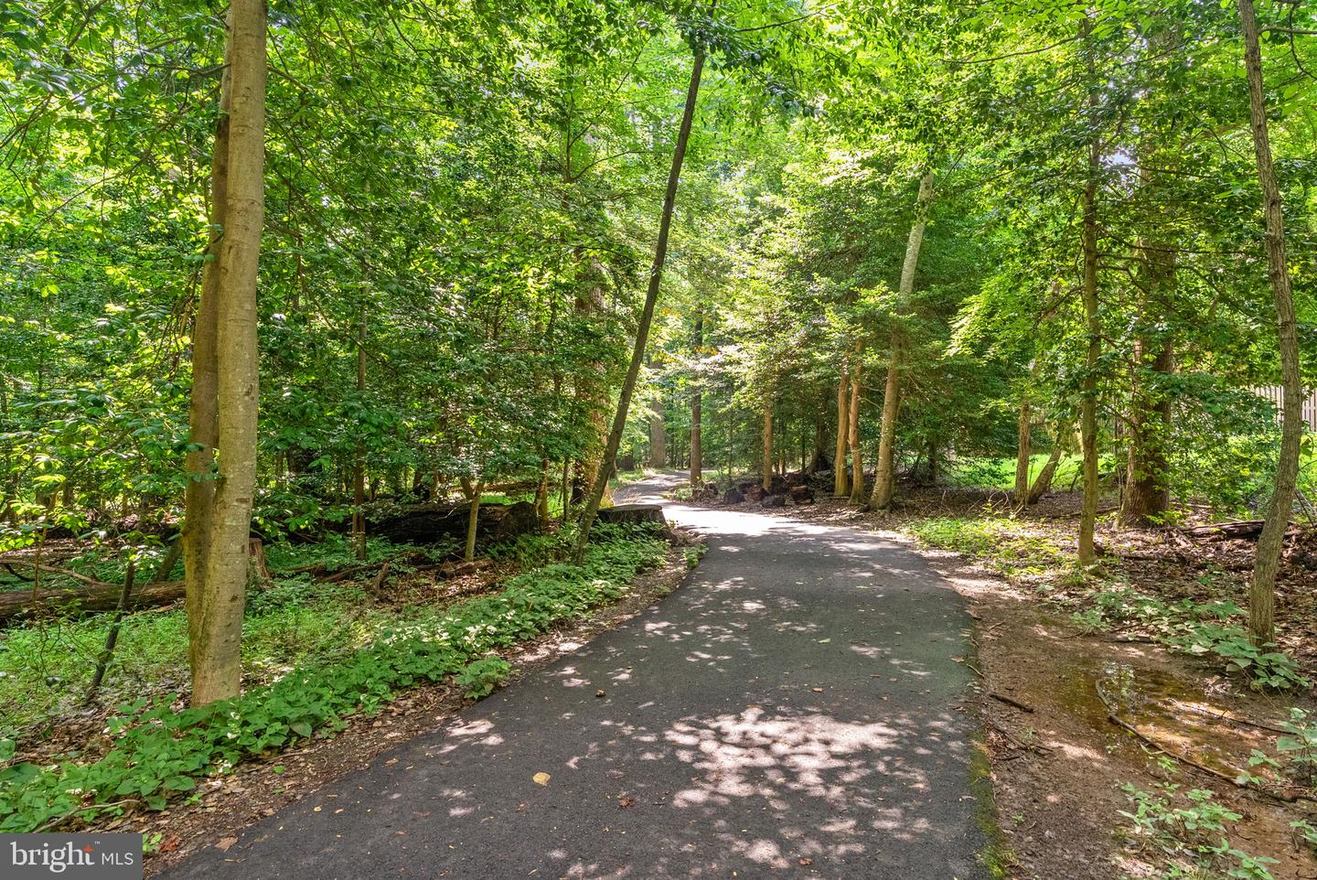 11722 MOSSY CREEK LN, RESTON, Virginia 20191, 3 Bedrooms Bedrooms, ,2 BathroomsBathrooms,Residential,For sale,11722 MOSSY CREEK LN,VAFX2253216 MLS # VAFX2253216