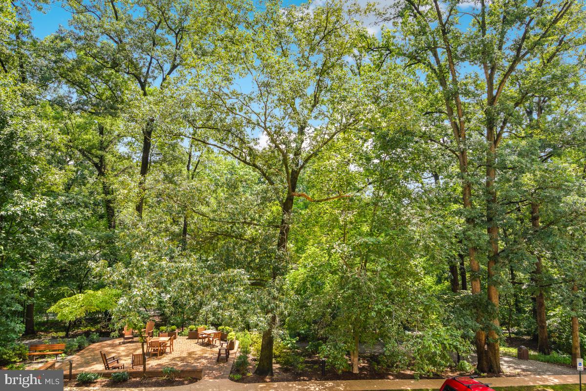 5904 MOUNT EAGLE DR #108B, ALEXANDRIA, Virginia 22303, 3 Bedrooms Bedrooms, 9 Rooms Rooms,2 BathroomsBathrooms,Residential,For sale,5904 MOUNT EAGLE DR #108B,VAFX2255330 MLS # VAFX2255330