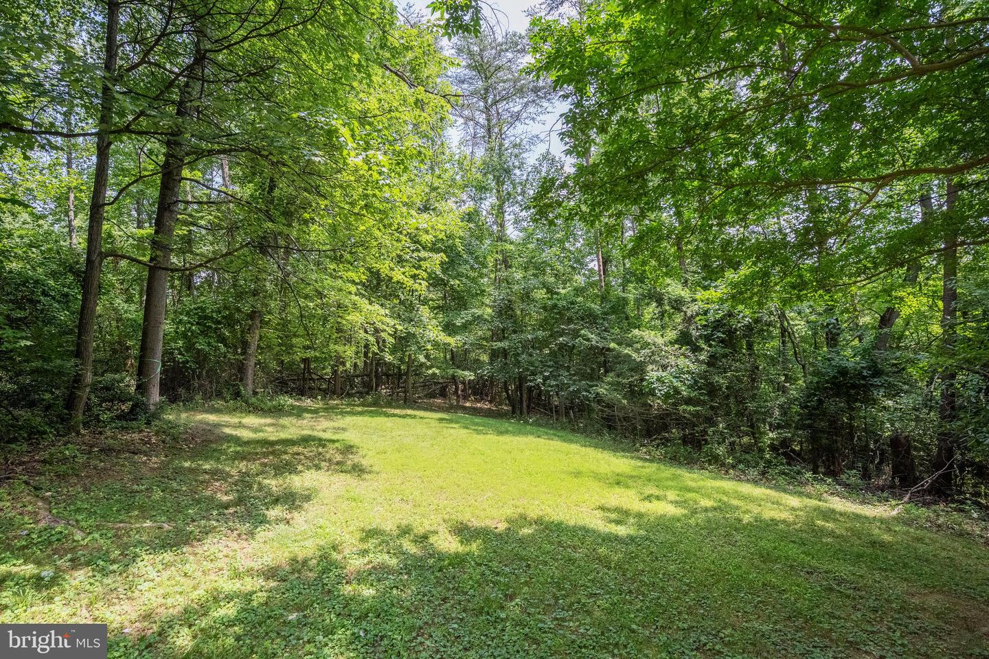 1017 TOWLSTON RD, MCLEAN, Virginia 22102, 3 Bedrooms Bedrooms, ,2 BathroomsBathrooms,Residential,For sale,1017 TOWLSTON RD,VAFX2254844 MLS # VAFX2254844