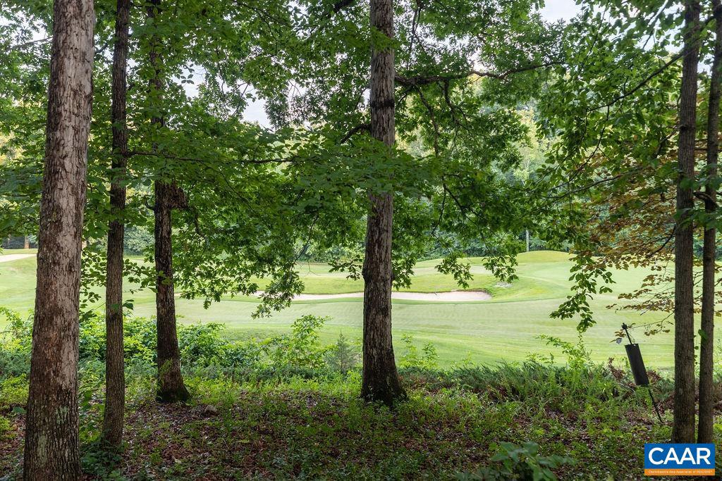 85 WATERS EDGE LN, NELLYSFORD, Virginia 22958, 5 Bedrooms Bedrooms, ,4 BathroomsBathrooms,Residential,For sale,85 WATERS EDGE LN,666662 MLS # 666662
