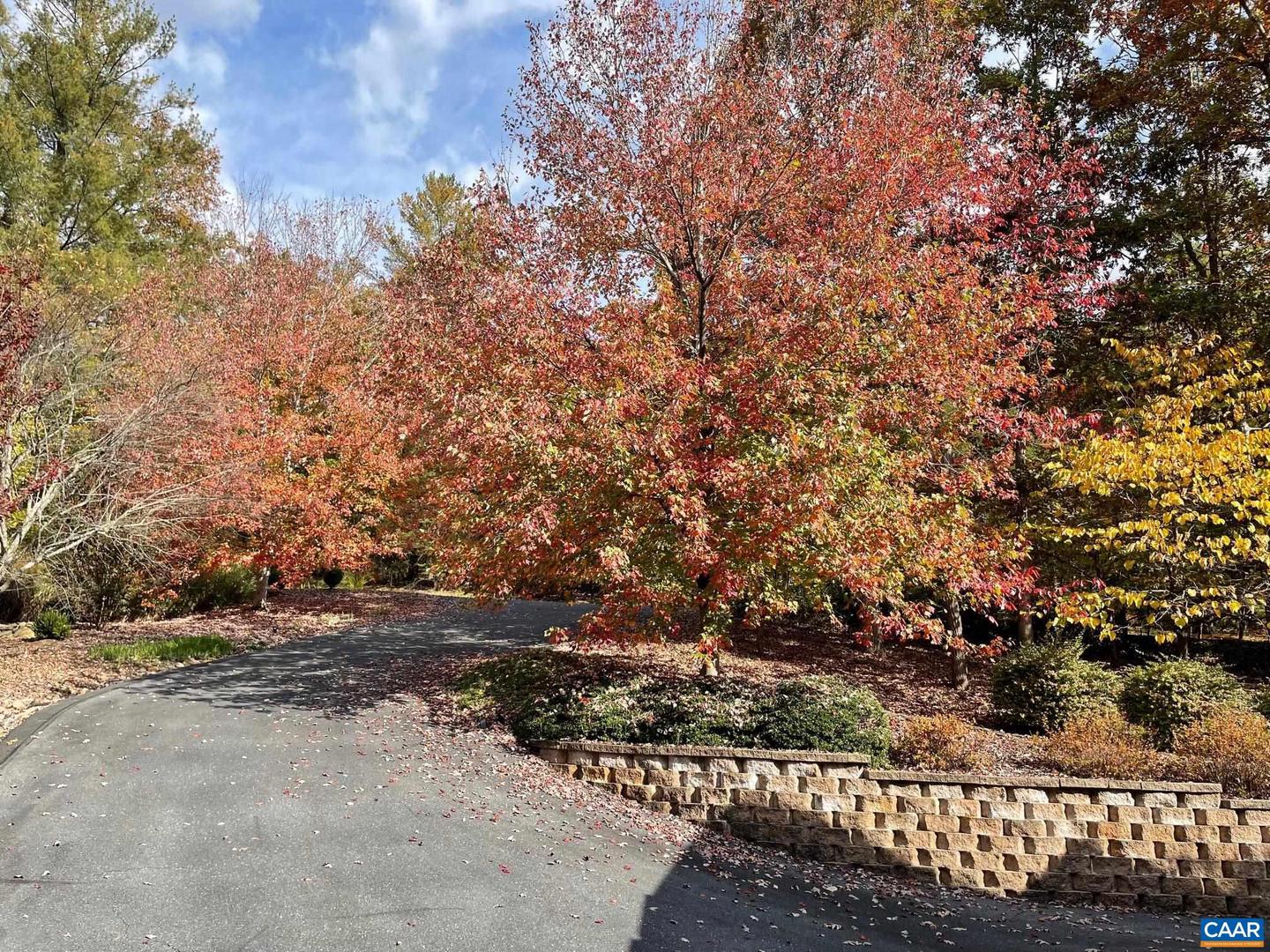 85 WATERS EDGE LN, NELLYSFORD, Virginia 22958, 5 Bedrooms Bedrooms, ,4 BathroomsBathrooms,Residential,For sale,85 WATERS EDGE LN,666662 MLS # 666662