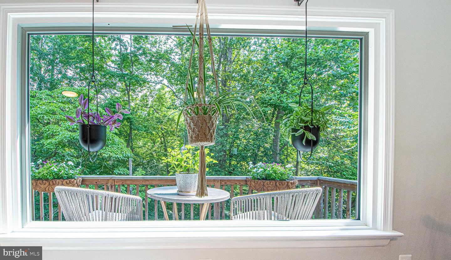 61 MOUNT MARSHALL RD, WASHINGTON, Virginia 22747, 3 Bedrooms Bedrooms, ,2 BathroomsBathrooms,Residential,For sale,61 MOUNT MARSHALL RD,VARP2002182 MLS # VARP2002182