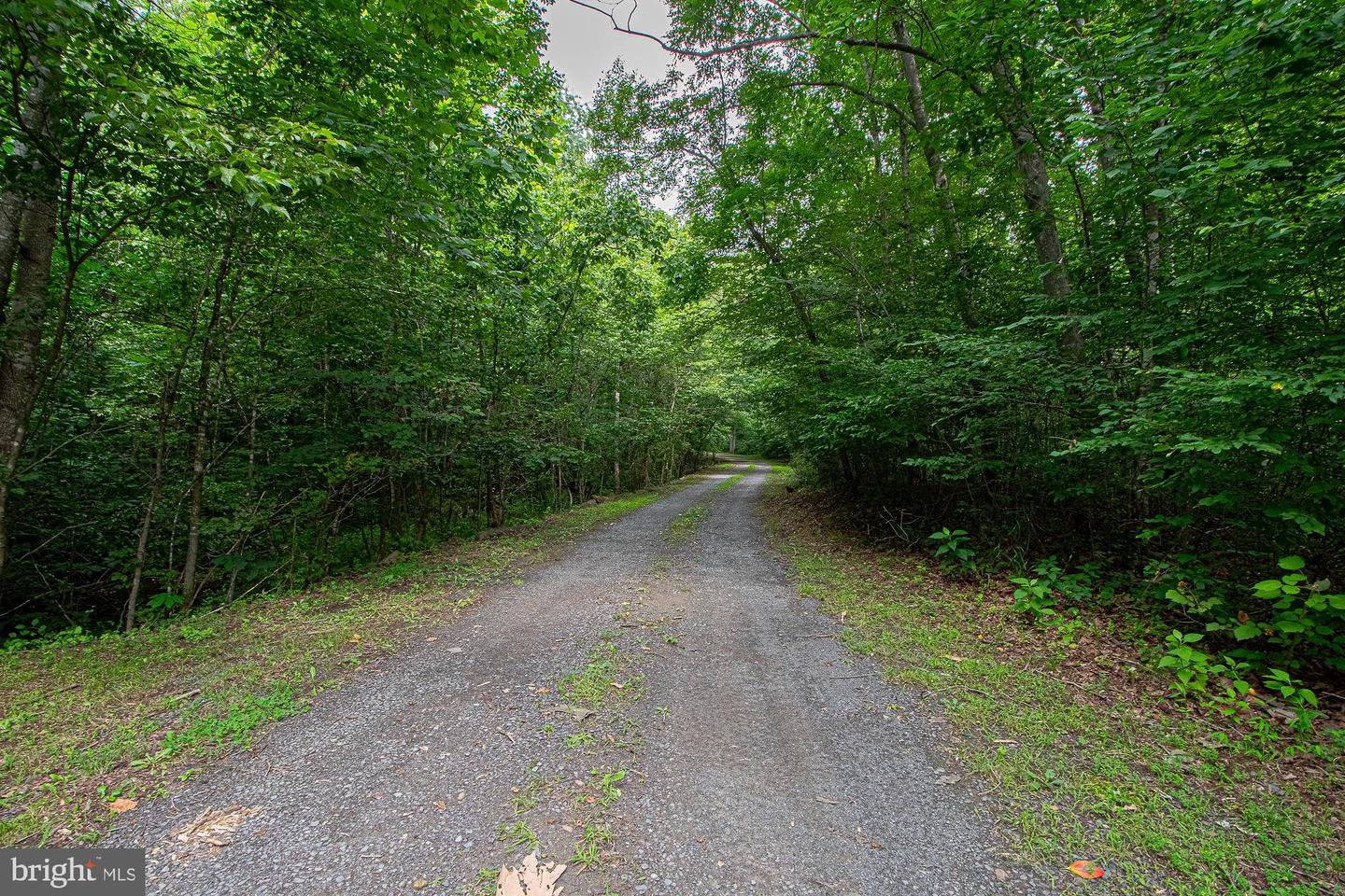 61 MOUNT MARSHALL RD, WASHINGTON, Virginia 22747, 3 Bedrooms Bedrooms, ,2 BathroomsBathrooms,Residential,For sale,61 MOUNT MARSHALL RD,VARP2002182 MLS # VARP2002182