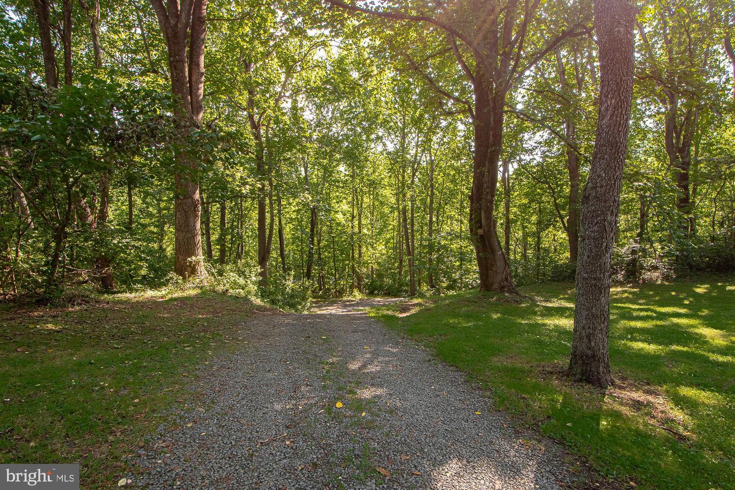 61 MOUNT MARSHALL RD, WASHINGTON, Virginia 22747, 3 Bedrooms Bedrooms, ,2 BathroomsBathrooms,Residential,For sale,61 MOUNT MARSHALL RD,VARP2002182 MLS # VARP2002182