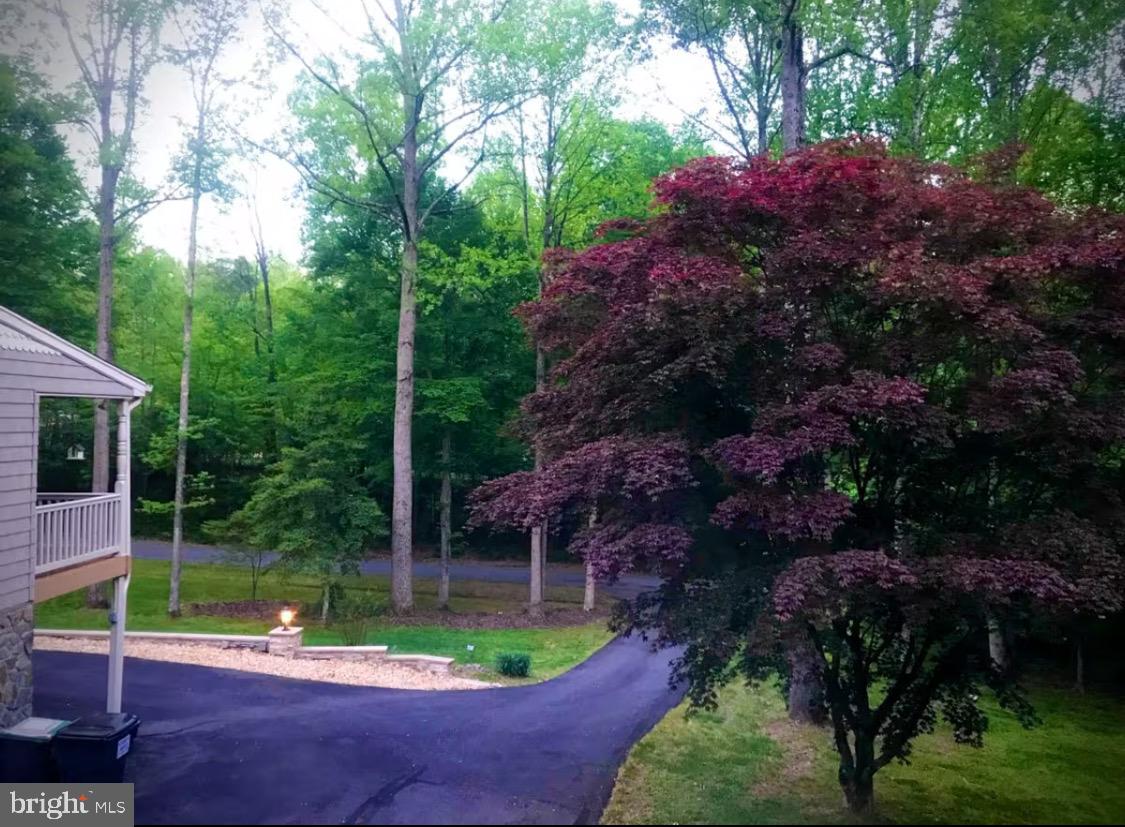 8314 OLD MILL LN, SPOTSYLVANIA, Virginia 22551, 4 Bedrooms Bedrooms, ,3 BathroomsBathrooms,Residential,For sale,8314 OLD MILL LN,VASP2034716 MLS # VASP2034716
