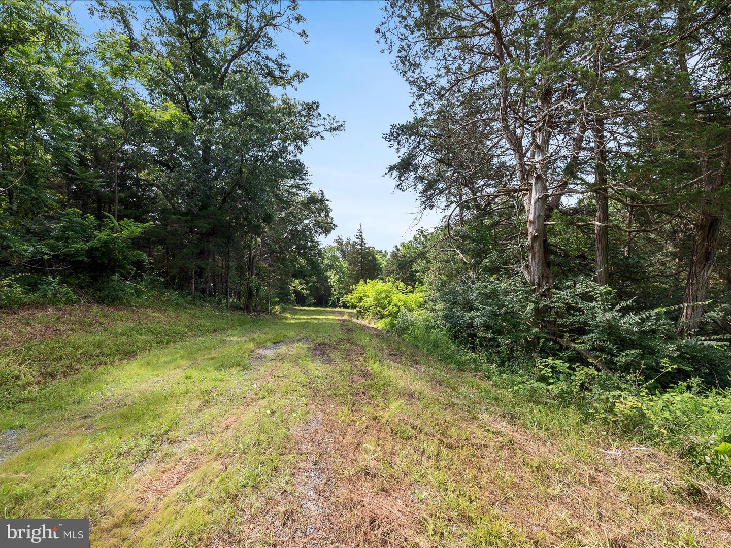LOT 20 HAMPSTEAD COURT, MAURERTOWN, Virginia 22644, ,Land,For sale,LOT 20 HAMPSTEAD COURT,VASH2012000 MLS # VASH2012000