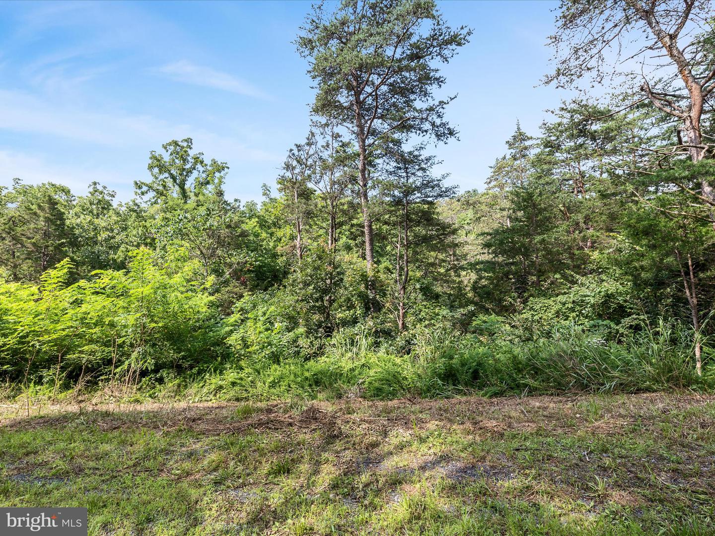 LOT 20 HAMPSTEAD COURT, MAURERTOWN, Virginia 22644, ,Land,For sale,LOT 20 HAMPSTEAD COURT,VASH2012000 MLS # VASH2012000