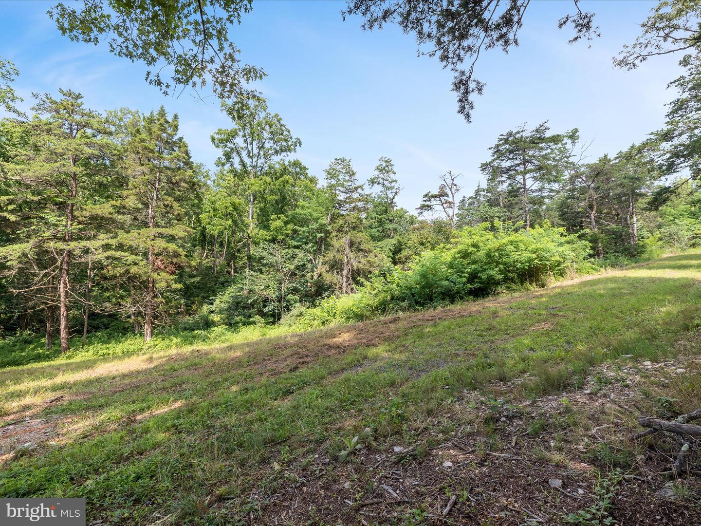 LOT 20 HAMPSTEAD COURT, MAURERTOWN, Virginia 22644, ,Land,For sale,LOT 20 HAMPSTEAD COURT,VASH2012000 MLS # VASH2012000
