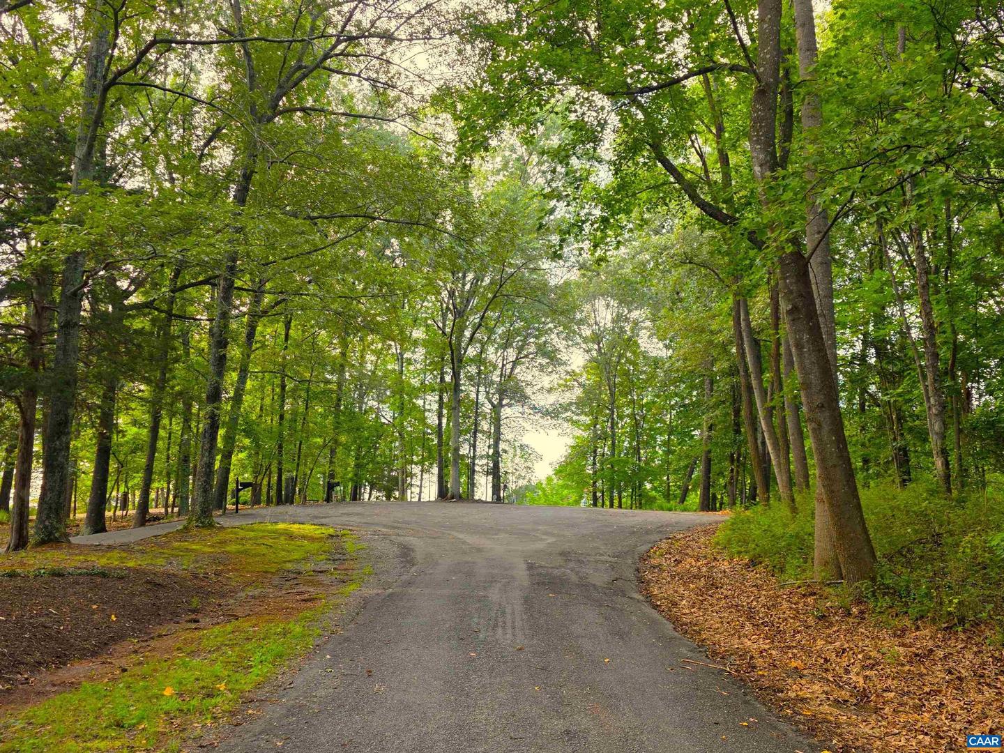LOT 22 MOUNTAIN LAUREL RDG #22, CHARLOTTESVILLE, Virginia 22903, ,Land,For sale,LOT 22 MOUNTAIN LAUREL RDG #22,666818 MLS # 666818