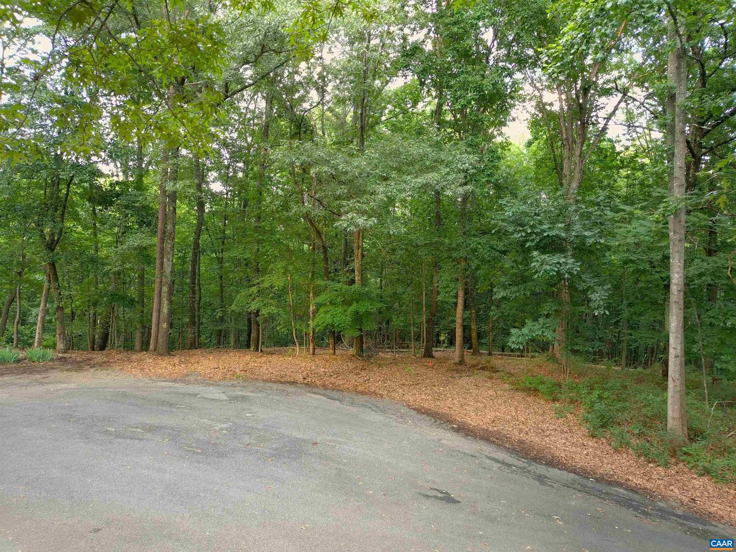 LOT 22 MOUNTAIN LAUREL RDG #22, CHARLOTTESVILLE, Virginia 22903, ,Land,For sale,LOT 22 MOUNTAIN LAUREL RDG #22,666818 MLS # 666818