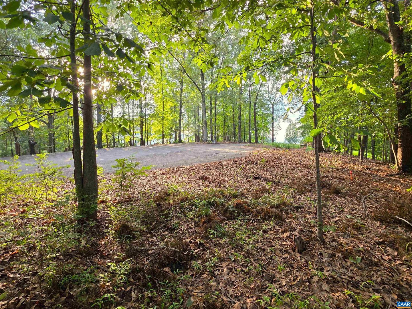 LOT 22 MOUNTAIN LAUREL RDG #22, CHARLOTTESVILLE, Virginia 22903, ,Land,For sale,LOT 22 MOUNTAIN LAUREL RDG #22,666818 MLS # 666818