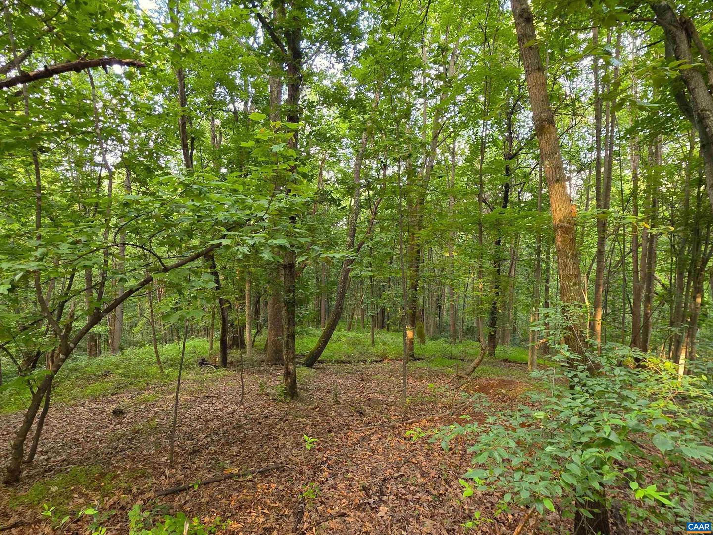 LOT 22 MOUNTAIN LAUREL RDG #22, CHARLOTTESVILLE, Virginia 22903, ,Land,For sale,LOT 22 MOUNTAIN LAUREL RDG #22,666818 MLS # 666818