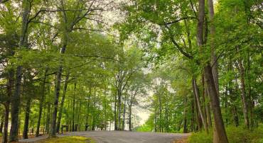 LOT 22 MOUNTAIN LAUREL RDG #22, CHARLOTTESVILLE, Virginia 22903, ,Land,For sale,LOT 22 MOUNTAIN LAUREL RDG #22,666818 MLS # 666818