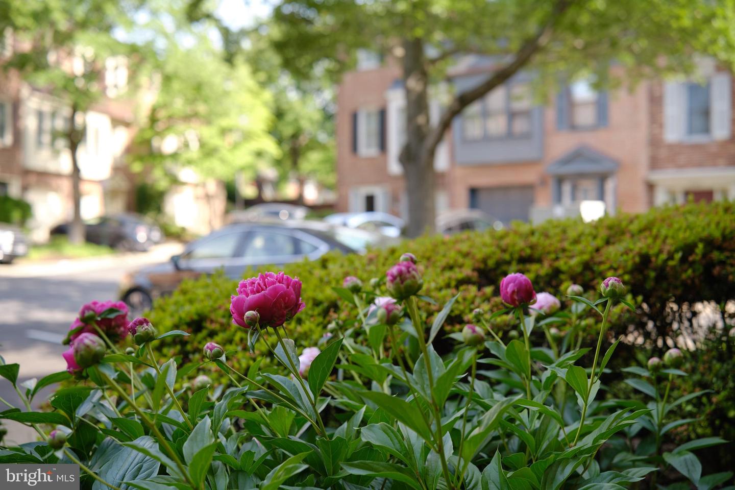 3816 USHER CT, ALEXANDRIA, Virginia 22304, 2 Bedrooms Bedrooms, ,2 BathroomsBathrooms,Residential,For sale,3816 USHER CT,VAAX2047312 MLS # VAAX2047312